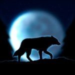 Adbulhadi_Djugashwilly