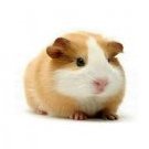 👑Vyacheslav_Chto👑