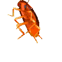 Maximillian_Poltavskiy