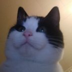 гений сервера