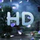 ʜᴀʀɪᴛᴏɴ ᴅʀᴀɢᴏᴍᴀɴᴏᴠ