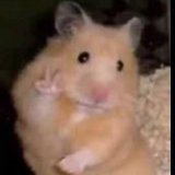 🍕Sergey_Grinvald🍕