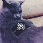 ツ 𝕍𝕠𝕣𝕠𝕧𝕤𝕜𝕠𝕪 ツ