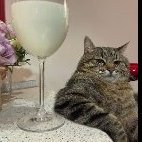 𝕡𝕫𝕣.𝕕𝕖𝕡𝕠𝕣𝕥𝕒𝕞𝕖t