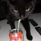 Тёплый Персонаж