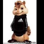 Нарушение правил форума