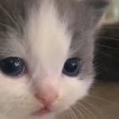 Satoshi_Preobrazhensky