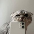 あなたへのカボ