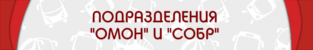 ОМОН И СОБР.png