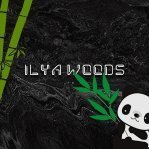 Ilya_Woods