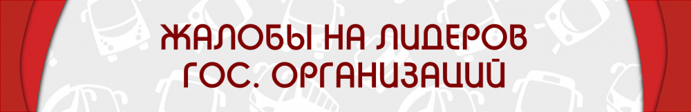 ЖБ НА ЛИДЕРОВ.png