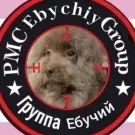 Damir_Preobrazhensky