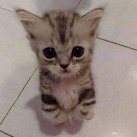 Anastasiya_Blinchikova