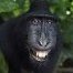 Egor_Belkov4321