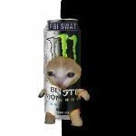 Christopher Fernando