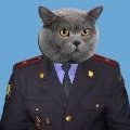Ilya_Mavrody