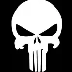 ThePunisher