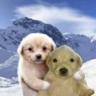 Mihhail Chromehearts