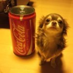 настенька зайка