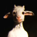 David_Nevsky official