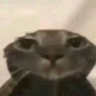 Vyacheslav_Kotenochkin