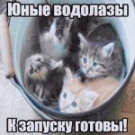 OpiatedNectonik