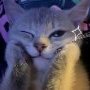 Milka_Morris