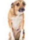 FarmilaDeneg