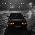 Alexey_Pechkin
