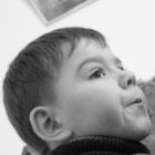 Mark Admiralov