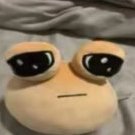 Tema Retra