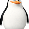 edfb vgbf