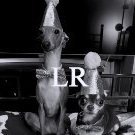 Lina_Reichelderfer
