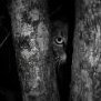 Andrey_Startsev