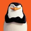 stonkcton