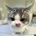 veronkisss