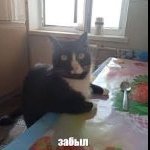 ARTUR22801