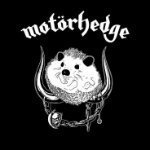 Yato_Yezhov