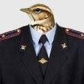 Dmirty_Zhavronkov