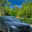 Macan_Winchester