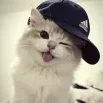 Dmitry_Petrosyan