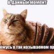 Social Semerkin
