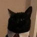 milo