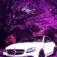 Konstantin_Province