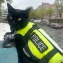 Neko Attwood11