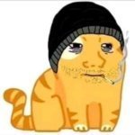 bobus