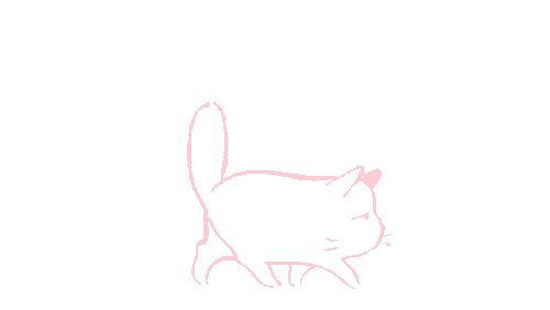 Luna_Cat